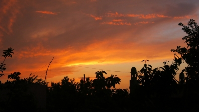 Incandescence